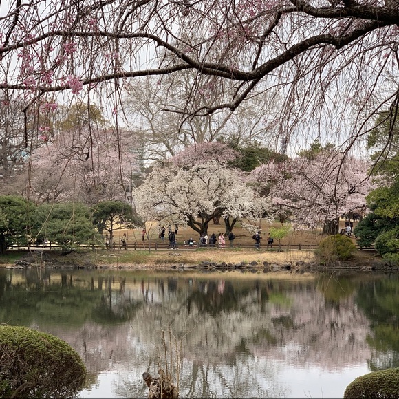 Meet your Posher - Picture 1 of 1